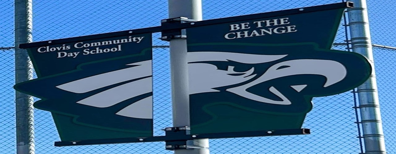 CCDS Banner with Eagle 